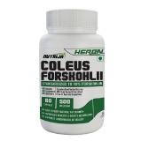 NutriJa Coleus Forskohlii Extract 500mg,  60 capsules  Unflavoured 