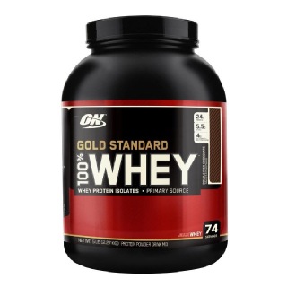 ON (Optimum Nutrition) Gold Standard 100% Whey Protein, 10 Lb Extreme Milk Chocolate