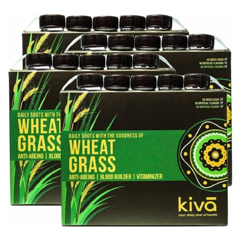Kiva Wheat Grass Pack of 4 Natural 0.2 L Kiva Wheat Grass Pack of 4 Natural 0.2 L