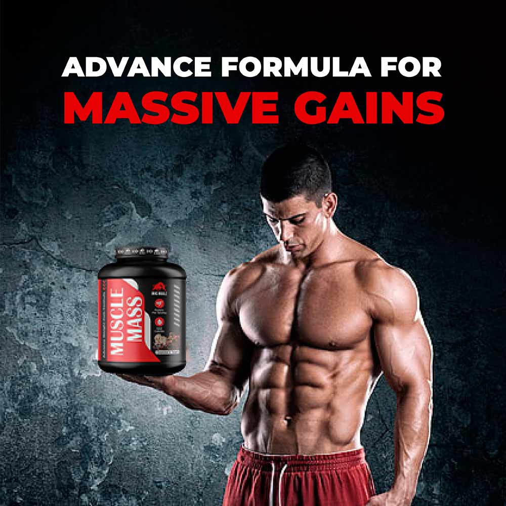 7 - Big Bull Muscle Mass,  6.6 lb  Chocolate Fudge 
