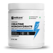 Wellcore Micronised Creatine Monohydrate, 250 g (0.55 lb)