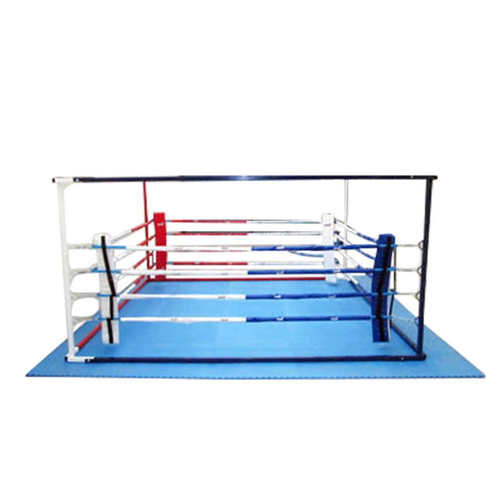 USI Floor Boxing Ring, 4.25Mtr X 4.25Mtr at Best Price in India