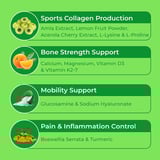 https://img7.hkrtcdn.com/18818/prd_1881776-bGREEN-Plant-Based-Sports-Collagen-Builder-by-MuscleBlaze-200-g-Fruit-Punch_o.jpg