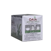 GAIA Green Tea & Mint,  25 Piece(s)/Pack  Mint 