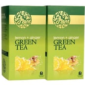 Laplant Green Tea, 25 Piece(s)/Pack Lemon & Ginger - Pack of 2