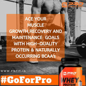 6 - Pro Nutrition & Fitness Whey Protein,  2.2 lb  Cookies & Cream 