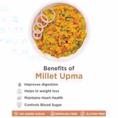 4 - True Elements Ready-To-Cook Masala Millet Upma,  Unflavoured  500 g 