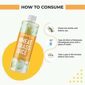 7 - Boldfit Wheatgrass Juice,  Unflavoured  1 L 