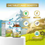 3 - Vaamveda Shilajit,  60 capsules 