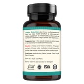 2 - VITAWIN Ginkgo Biloba for Brain Support (500 mg),  60 capsules 