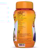 4 - Baidyanath Chyawan-Fit Sugarfree,  0.5 kg 