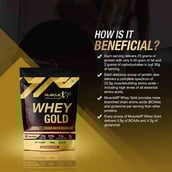 6 - MuscleXP Whey Gold Protein with Digestive Enzymes,  2.2 lb  Double Chocolate 