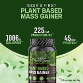 2 - Azani Active Nutrition Plant Based Mass Gainer,  2.2 lb  Triple Chocolate (Pack of 2) 
