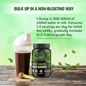 7 - Azani Active Nutrition Plant Based Mass Gainer,  2.2 lb  Triple Chocolate (Pack of 2) 