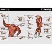 6 - Strauss Standard Yoga Massage Eva Foam Roller,  Purple  30cm 