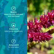 5 - Ustraa Beard Growth Supplement,  60 ml  with Biotin 