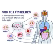 3 - Keva Triple Stemcell Drops,  5 ml 