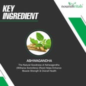 4 - NourishVitals Ashwagandha - Pack of 3,  60 veggie capsule(s) 