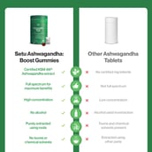 3 - Setu Ashwagandha : Boost - Mixed Berry Flavour,  60 gummies 