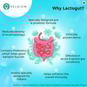 7 - Velbiom Lactogut,  30 capsules  Unflavoured 
