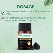 4 - Dr. Vaidya's Shilajit Gold (Pack of 3),  30 capsules 