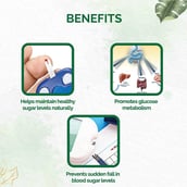 3 - Dr. Vaidya's Diabex,  30 capsules 