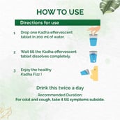 4 - Dr. Vaidya's Kadha Fizz (Pack of 3),  20 tablet(s) 