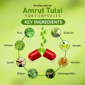 4 - Amrut Tulsi Yukt,  30 capsules 