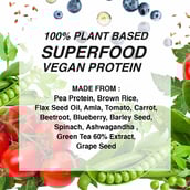 2 - Leopard Nutrition Vegan Protein,  0.99 lb  Mango Masti 