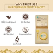 2 - HealthKart HK Vitals Pure Himalyan Shilajit Resin,  15 g