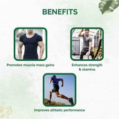 3 - Dr. Vaidya's Herbobuild DS (Pack of 3), 30 capsules