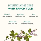 2 - Kapiva Skin Rituals Tulsi Anti-Acne Serum,  30 ml  for A Clear Skin 