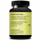 2 - Riffway Green Tea,  30 capsules  Unflavoured 