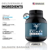 3 - Bolt Weight Gainer Super-Charged with Phycocyanin,  5 lb  Madagascar Vanilla with Free Shaker 