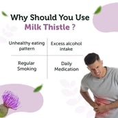 6 - Neuherbs Milk Thistle,  60 capsules