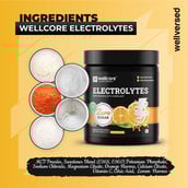 4 - Wellcore Electrolytes,  0.44 lb  Orange 