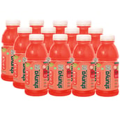 1 - Shunya GO,  300 ml  Mixed Fruit Mania (Pack of 12) 