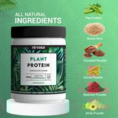 2 - Nirvasa Plant Protein,  0.88 lb  Chocolate (Pack of 3) 