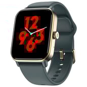 Noise ColorFit Pro 4 Max Smartwatch,  Navy Gold  Free Size 