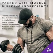 3 - MuscleTech Mass Tech Extreme 2000,  11.99 lb  Vanilla Milkshake 