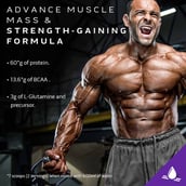 2 - MuscleTech Mass Tech Extreme 2000,  6.6 lb  Triple Chocolate Brownie - India 