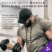 1 - MuscleTech MassTech Extreme 2000,  6.61 lb  Vanilla Milkshake 