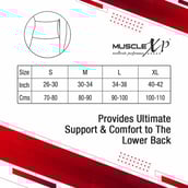 2 - MuscleXP Lumbo Sacral Belt,  Grey  Large 