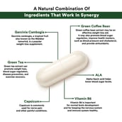 3 - Genetic Nutrition Mega Garcinia Cambogia,  30 capsules 