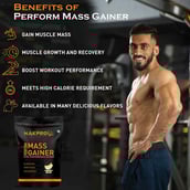 7 - Nakpro Perform Mass Gainer,  2.2 lb  Mango (Pack of 5) 