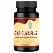 1 - Ayurveda Yogashram Remedies Caricuma Plus, 60 capsules