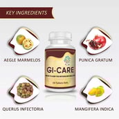 4 - Ayurveda Yogashram Remedies GI-Care,  60 tablet(s) 