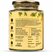 2 - Smartveda Wild Forest Honey,  500 g  Natural 