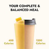 6 - Kapiva Slim Shake,  0.5 kg  Mango (Weight Control Powered by Ayurveda) 