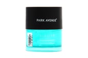 Park Avenue Hair Styling Gel, 100 g Glacier Styling Gel